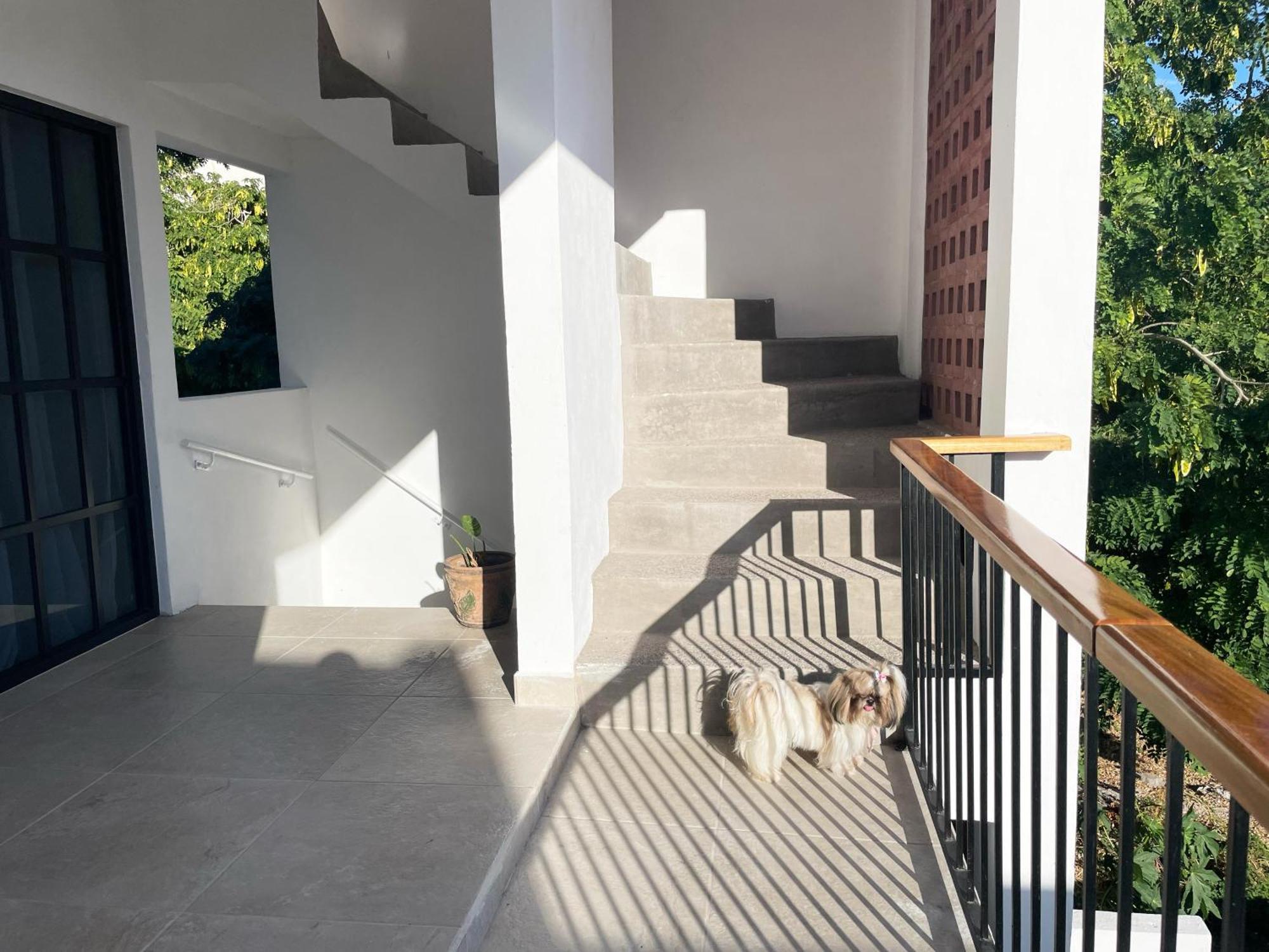 Departamentos Dos21 Villa Mazatlán Eksteriør billede